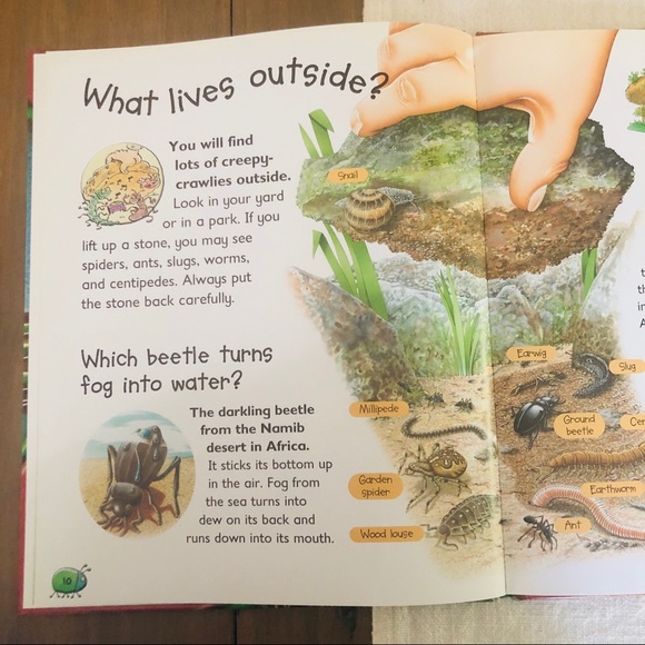 Hardcover “Ask Me” Book Series (Lot of 6) - Picture 4 of 5